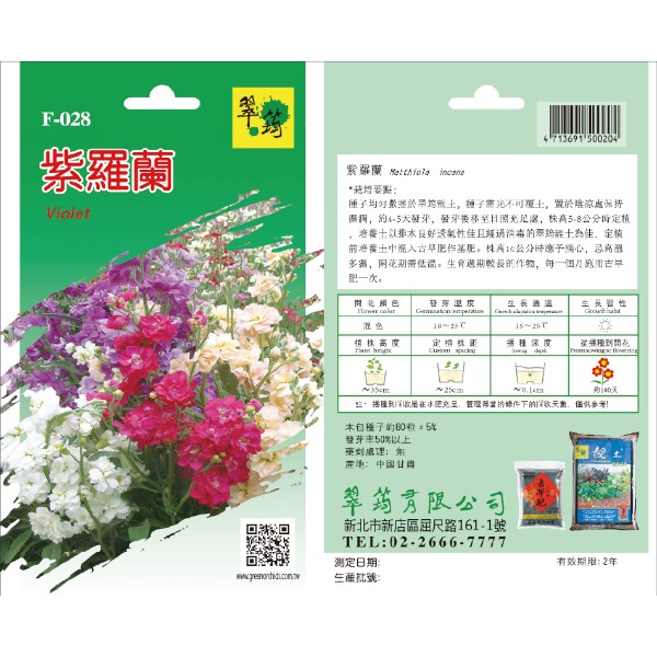 翠筠紫羅蘭 F-028
