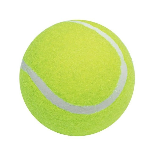 網球 軟式 硬式 