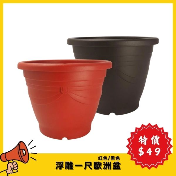 【4月特價】浮雕一尺歐洲盆